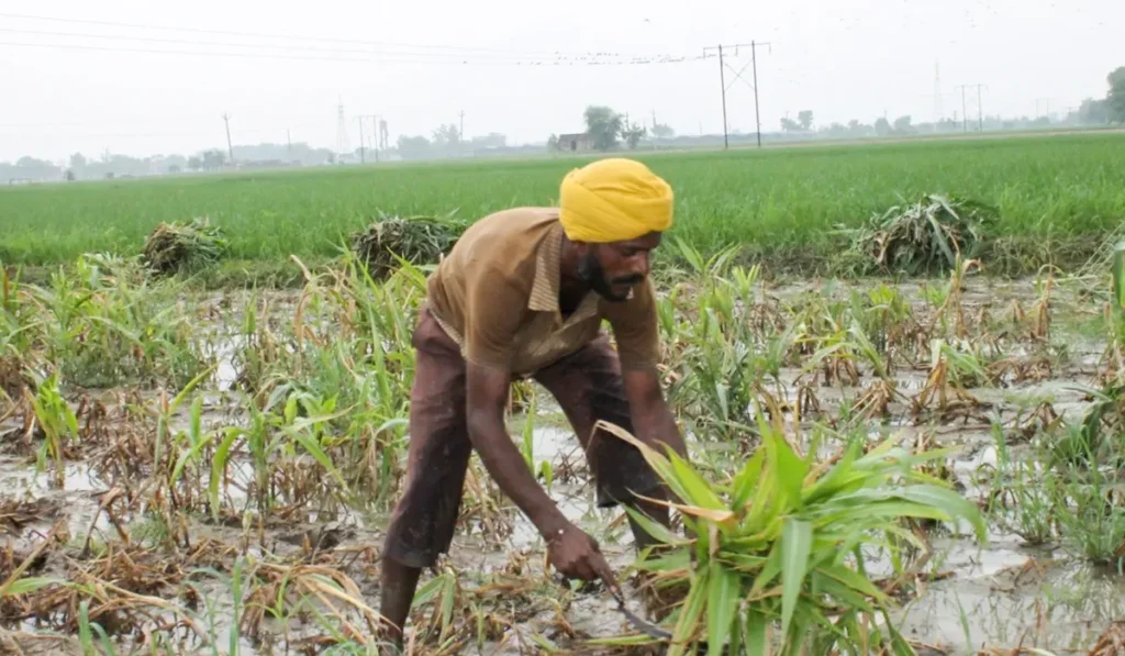 Continuously falling water level