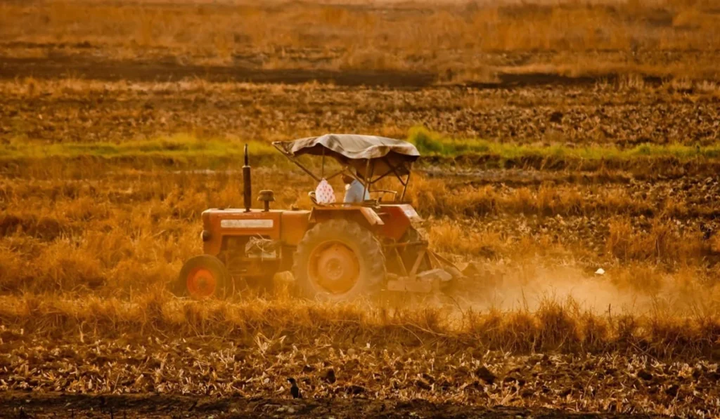 How soon will the barbed wire be removed