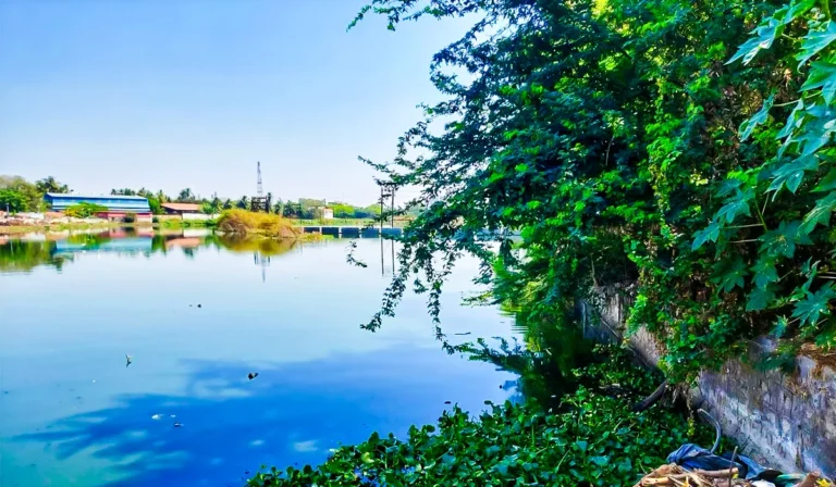 Punjabs water is going from purity to poison