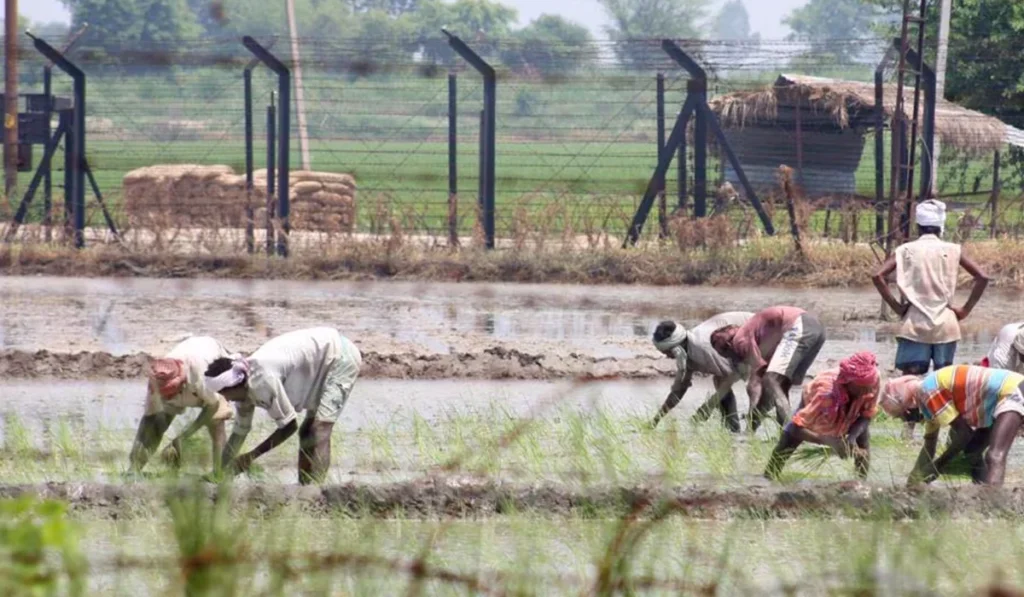 farming without interuption