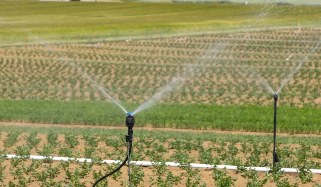 smart irrigation and stubble management