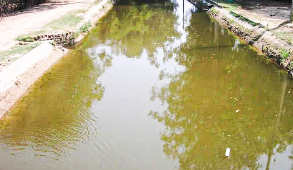 what happens in the future