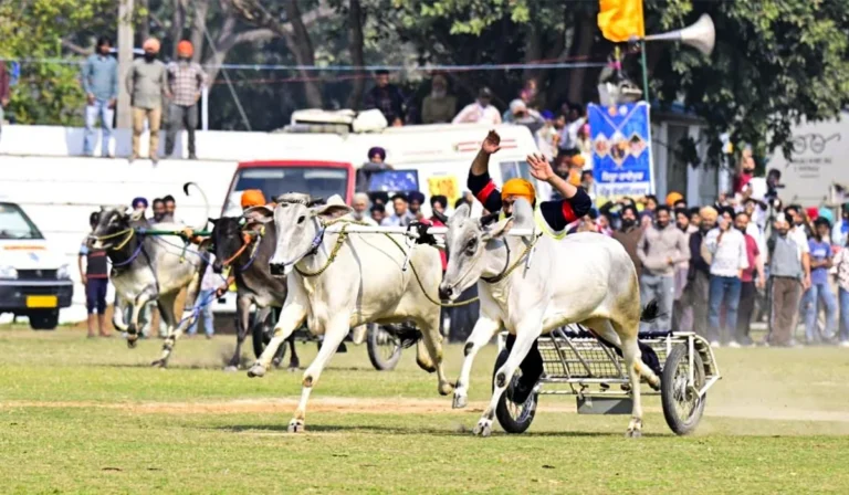 Punjabs Mini Olympics Kila Raipur Games