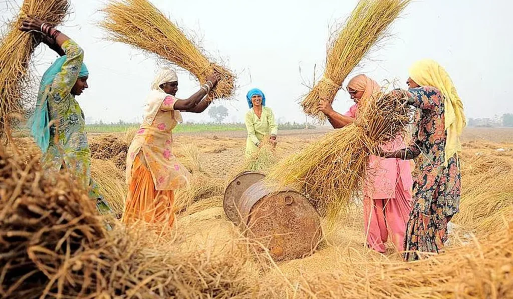 Neglected and Unrecognized Labor