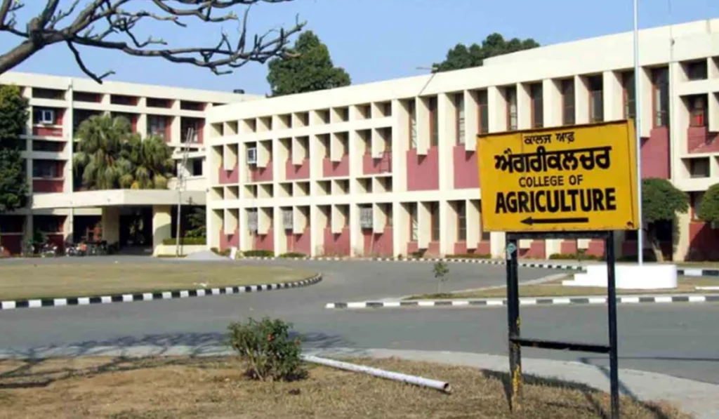 PAU Ludhiana should focus on new crops