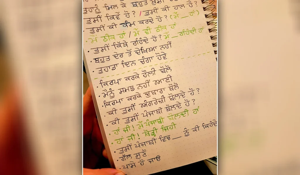 Punjabi literature