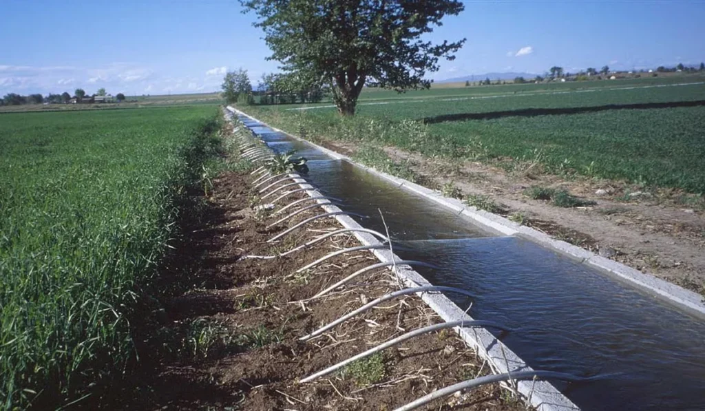 Role of canal irrigation