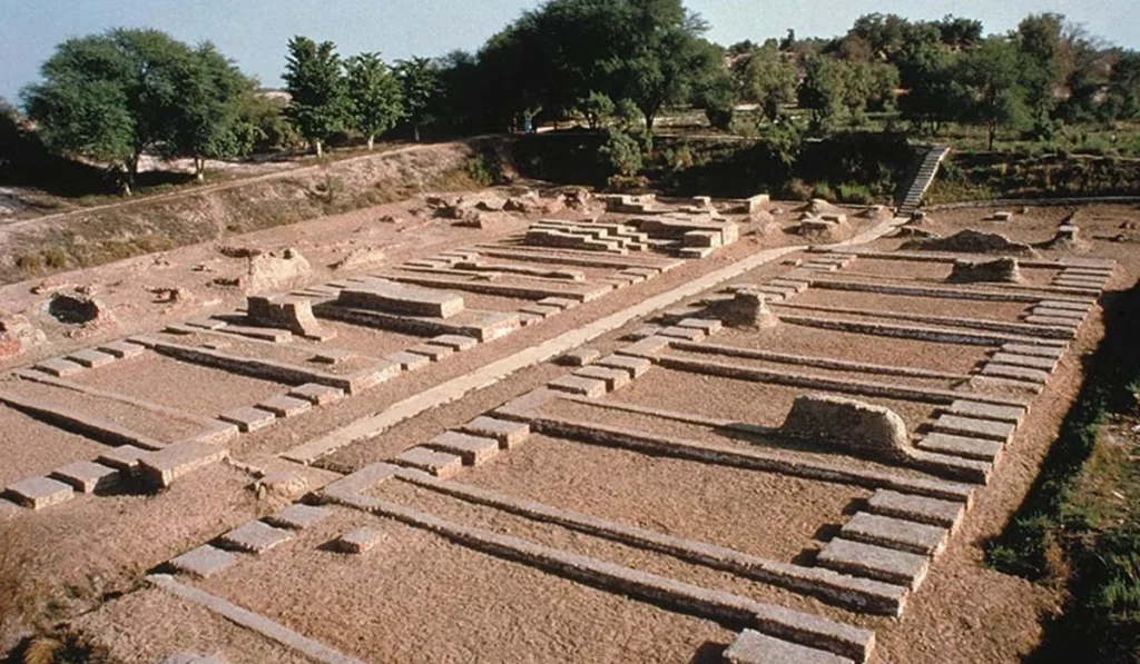 Social and Cultural Impact