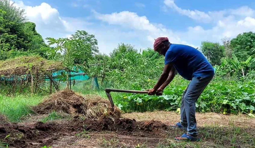 What is natural farming