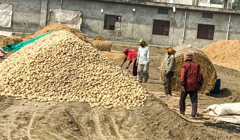 Farmers Waiting for Governments to Hold Their Hand, ‘Only the One Who Suffers Knows the Pain’ 7 Governments are not ready
