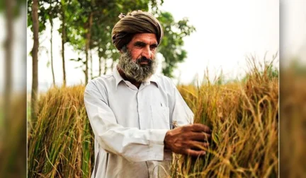 Waiting for the government to hold farmers hand