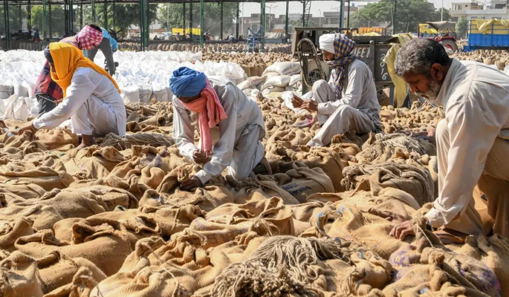 Farmers Waiting for Governments to Hold Their Hand, ‘Only the One Who Suffers Knows the Pain’ 9 cheating the farmers