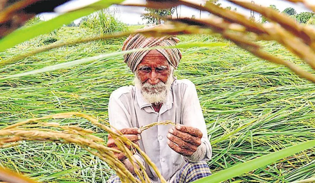 farmer is now fed up