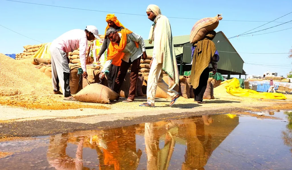 government should understand