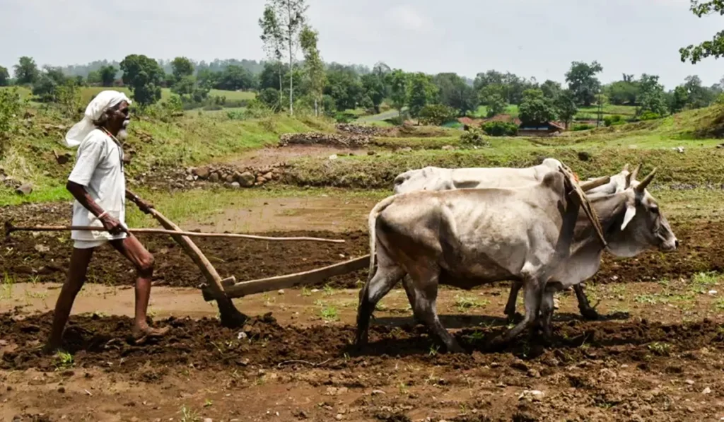 Farmers Waiting for Governments to Hold Their Hand, ‘Only the One Who Suffers Knows the Pain’ 8 tools for farming