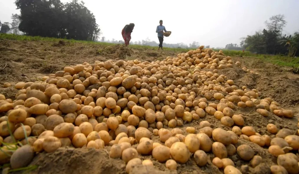 Farmers Waiting for Governments to Hold Their Hand, ‘Only the One Who Suffers Knows the Pain’ 4 victim of economic recession