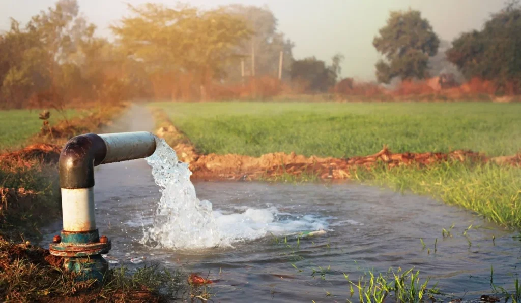 Green Revolution and Poisoning Water