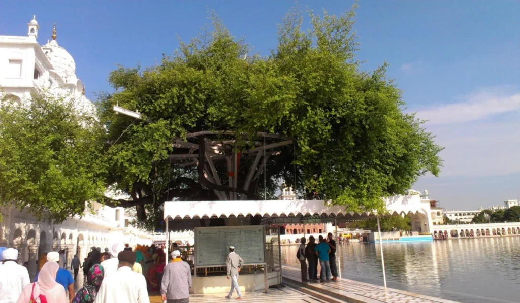 Baba Budha JI: The Sikh Who Served Eight Living Gurus 5 bir baba budha sahib