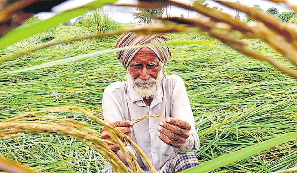 All crops must be sold at MSP