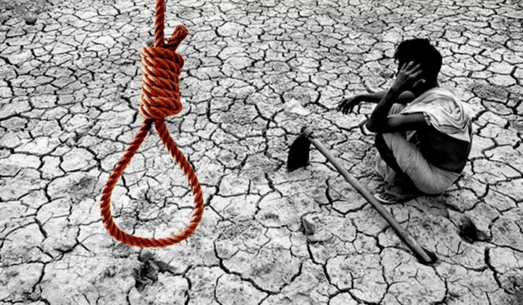 Government policies and natural damage to crops