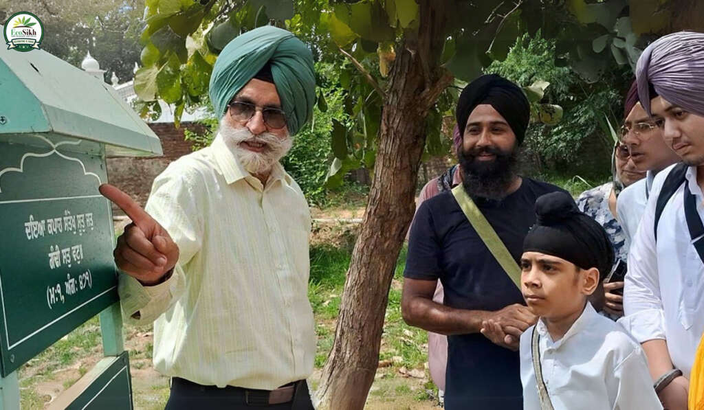 Respect for Nature in Gurbani