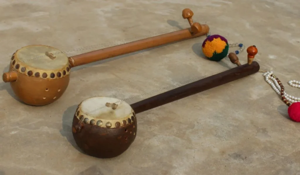 Tumbi music instrument world music day