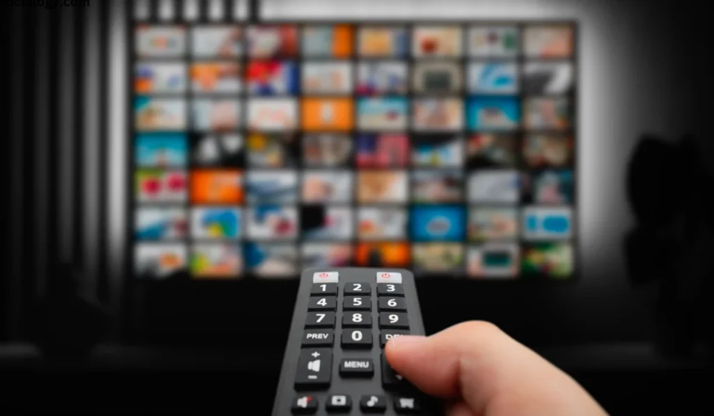 Punjabi Cinema's Journey From Villages to Global Screens 4 ott platforms