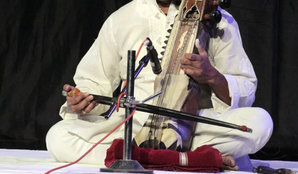 sarangi instrument world music day