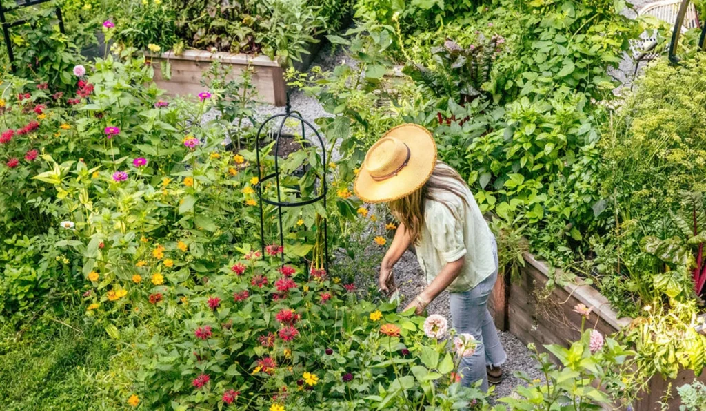 Horticulture: Not Just Farming, But an Advanced Science 7 Become job providers not job seekers