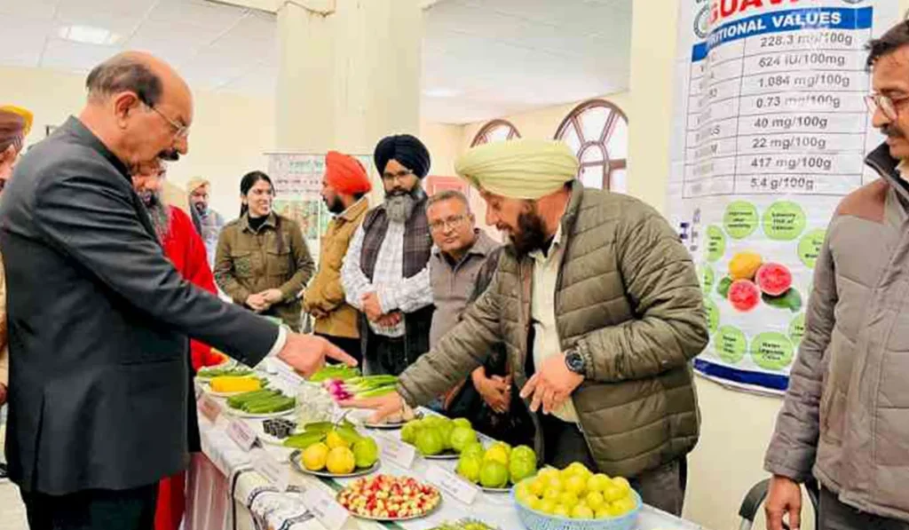 Horticulture: Not Just Farming, But an Advanced Science 8 Contribution of Punjab Agricultural University in Horticulture