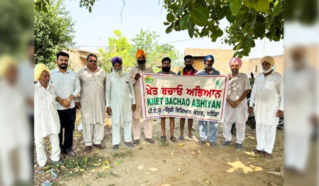 DPRO BATHINDA