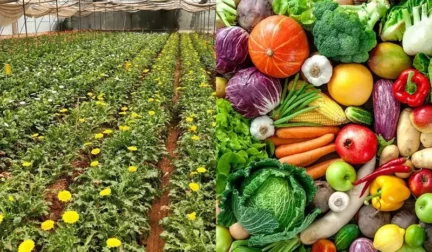 Horticulture Not just agriculture