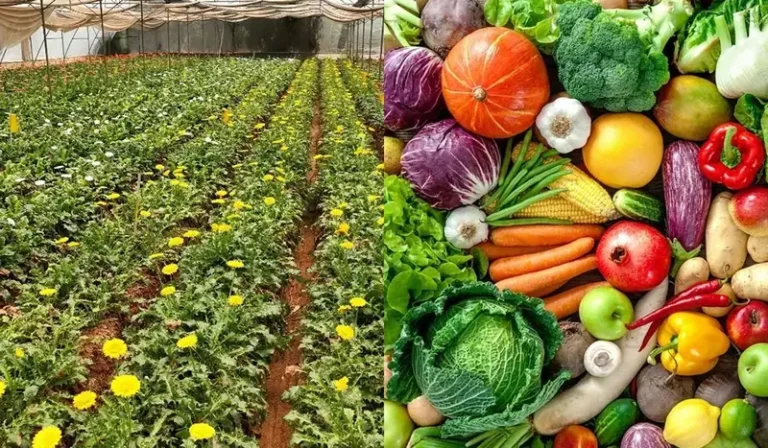Horticulture Not just agriculture