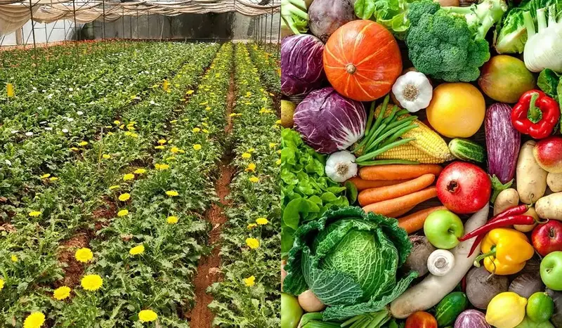 Horticulture: Not Just Farming, But an Advanced Science 3 Horticulture Not just agriculture
