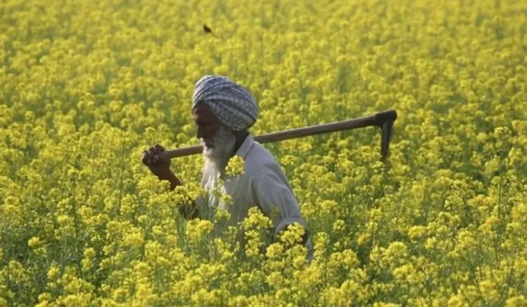 Horticulture: Not Just Farming, But an Advanced Science 5 Horticulture in Punjab