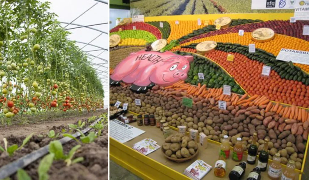 Horticulture: Not Just Farming, But an Advanced Science 6 Nutritional security and health awareness after COVID 19
