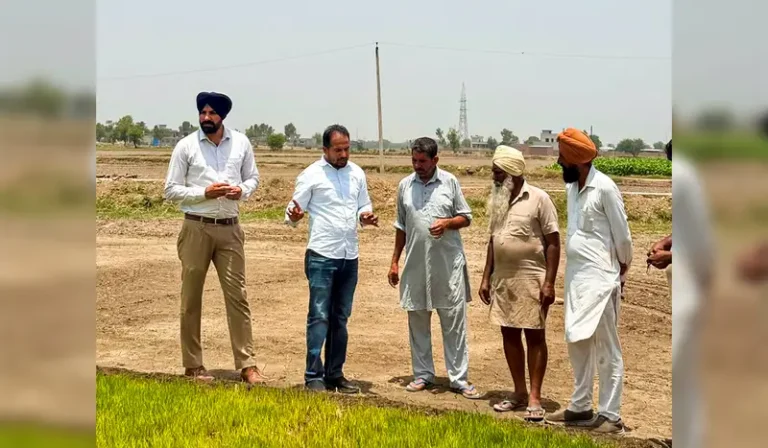 Will the crisis be removed from the fields of Punjab