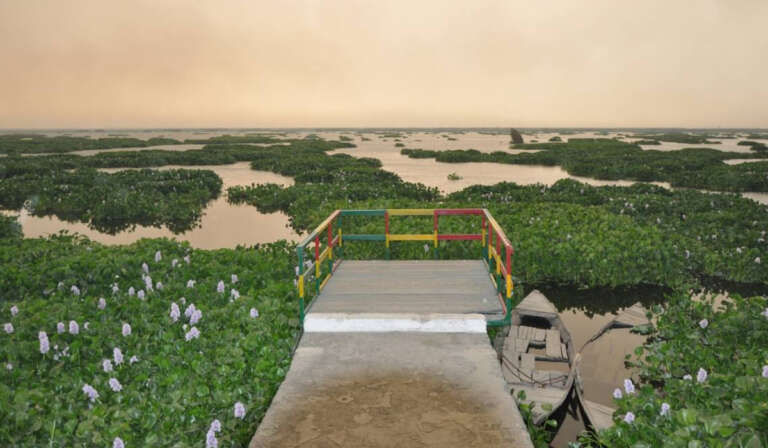 international border of India Pakistan 768x448 1