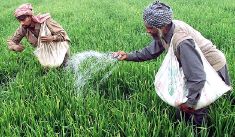 Future of Punjab Agriculture and Crop Zoning; A 'scientific path' from crisis to solution 5 Improving soil health 768x448 1