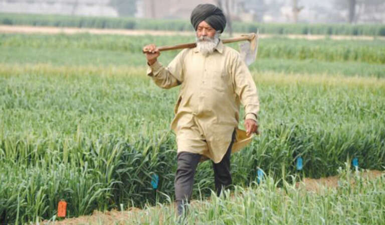 Future of Punjab Agriculture and Crop Zoning; A 'scientific path' from crisis to solution 9 Lets turn to the solution 768x448 1