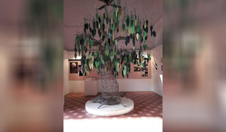 Tree of Hope 768x448 1
