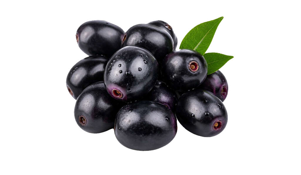 Asia's First Jamun Market to be Built in Punjab 9 JAMUN 8 1024x597 1