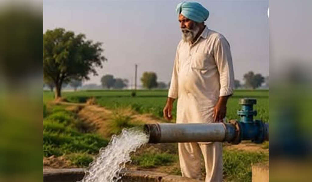 Asia's First Jamun Market to be Built in Punjab 8 Jamun black plum farming i 1024x597 1