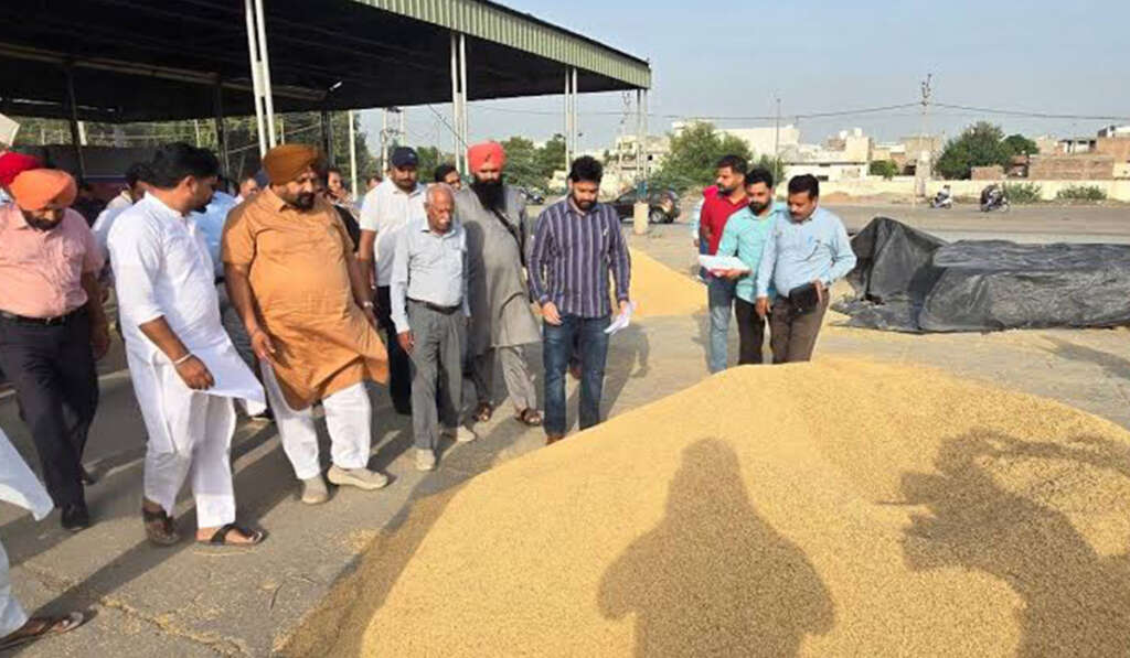 Punjab Papers · Part II - From Tribhajan to Stagnation - Accounting: What was done, who did it, and can Punjab still rise 8 Paddy purchase