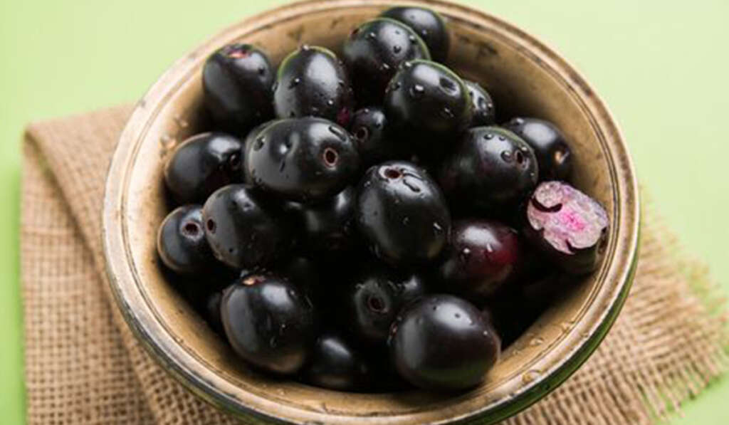 Asia's First Jamun Market to be Built in Punjab 6 jamun great taste 1024x597 1
