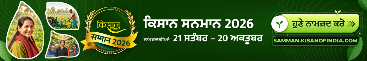 after-header-banner